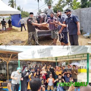 H. Abi Bahrun : Hewan Qurban di Kirim ke Kecamatan Pinggir dan Berbagai Daerah