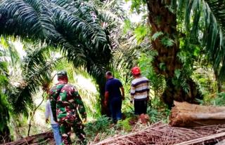 Giat Patroli dan Sosialisasi, Serda SE. Sinulingga : Jangan Bakar Lahan dan Hutan