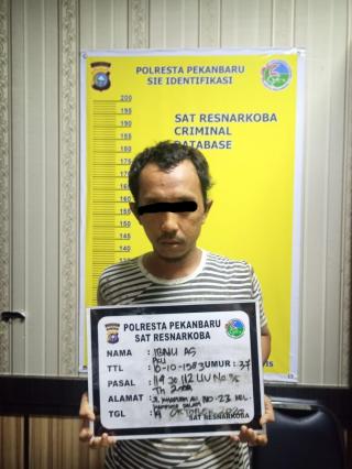 Dua Pria Pengedar Narkoba Ini Berhasil Diringkus Polresta Pekanbaru