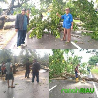Antisipasi Laka Lantas, MPB dan Tokoh Masyarakat Desa Senggoro Lakukan Penebangan Pohon