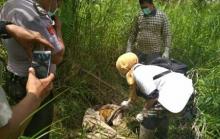 Mengejutkan.!!! Di Kecamatan GAS ada Sosok Mayat Terbujur Kaku.. 