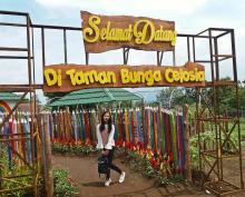 Taman Bunga Celosia, Hamparan Penuh Warna Ala Eropa di Selatan Jawa