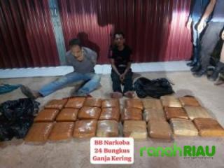 Bareskrim Gagalkan Penyelundupan 23 Kg Ganja di Rohul, Dua Kurir Ditangkap