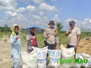 Dukung Ketahanan Pangan, Bhabinkamtibmas Sukamaju Salurkan Pupuk untuk Lahan Jagung 16 Hektar