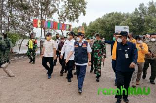 Didampingi Bupati Wardan, Gubri Tanam Bibit Mangrove di Pantai Terumbu Mabloe