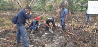 Warga Inhil di Amankan Polisi Akibat Membakar Tumpukan Pelepah Kelapa Kering