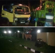 Polsek Kuantan Mudik Amankan Lima dari Tujuh Ekor Sapi Hasil Curian