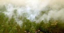 Usai Weekend, Titik Panas di Riau Langsung Meningkat