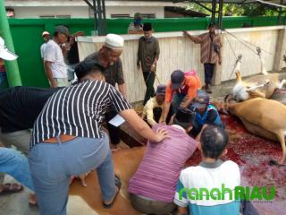 Idul Adha 1442H/ 2021M, Masjid Al-Mubaraq Desa Senggoro Sembelih 11 Ekor Hewan Qurban