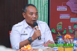 Tingkatkan Pelayanan, Tenaga Harian Lepas RSD Madani Pekanbaru bakal Ditata