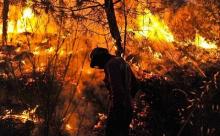 1 Hektare Lahan Gambut di Pandau terbakar, Kasus masih dalam Tahap Penyelidikan