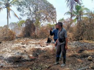 Karhutla Lahan PT. CPK Inhil Meluas, Kebun Masyarakat Kena Imbas