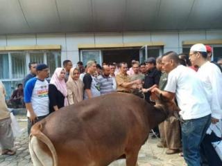 Sabtu Nanti, PWI Riau sembelih 7 Ekor Sapi dan 2 Ekor Kambing