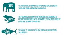 Kondisi Keanekeragaman Hayati Kian Memburuk, Mampukah Kita Memperbaikinya?