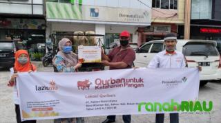 Kerjasama dengan Bank Permata Syariah, Lazismu Riau salurkan 5 Sapi qurban ke Rokan Hulu
