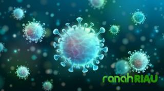 Bagian Satu, Pandangan FKPMR Terhadap hal aktual yang jadi sorotan publik Riau Tahun 2020