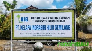 PT.KIG Pemkab Inhil Mogok Produksi Hingga Karyawan Gigit Jari