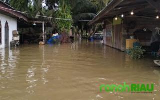 319 Rumah di Desa Buluh Cina Terendam Banjir Akibat Luapan Sungai Kampar