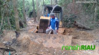 Kantongi 2 Nama, Gakkum KLHK Riau Segera Terbitkan Surat Perintah Penyelidikan