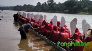 Ratu Sialang Mampu Jaga Marwah Kuantan Mudik di Kandang Lawan