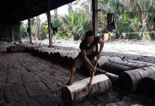Dinaskertrans Riau Diminta Cek Jaminan K3 Pabrik Industri Sagu di Kecamatan Gaung