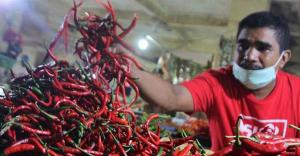 Kementan Klaim Kemarau Tak Ganggu Produksi Cabai