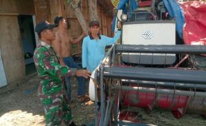 TMMD Usai, Produksi Pertanian Meningkat