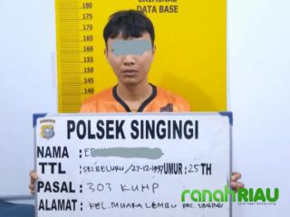 Agen Chips Higgs Domino Berhasil Dicokok Polsek Singingi