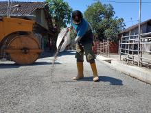 Keceriaan Anak-Anak Di Atas Jalan Yang Baru Selesai Dicor Satgas TMMD