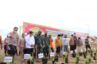 Dukung Program Ketahanan Pangan Nasional, Kapolda Riau Lounching Jaga Kampung