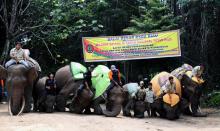 Beberapa Objek Wisata di Pelalawan