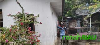 Ketua RT.02 dan Pemuda Karang Ayer Duri, Semprot Disinfektan ke Rumah Warga