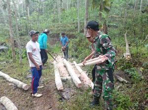 Satgas TMMD Bantu Warga Gergaji Kayu Untuk Atap RTLH