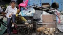 Dikecam Dunia Luar, Cina Tetap Adakan Festival Makan Anjing