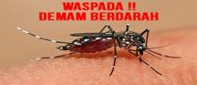 Cegah DBD, Ini Cara Sehatnya
