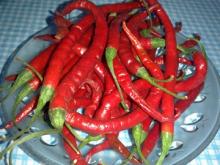 Peredaran Cabe Berformalin di Pekanbaru