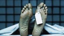 Siak Geger, ditemukan sesosok Mayat Mr. X di Kebun sawit