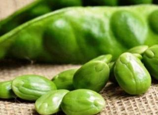 Usai Ekspor Jengkol, Petai Asal Sumbar kini Melenggang hingga Jepang