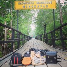 Siak Miliki Destinasi Wisata Alam Hutan Mangrove Mengkapan