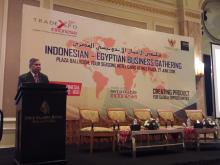 KBRI Kairo Gelar Temu Bisnis Sambut TEI dan Pekan Perdagangan Afrika