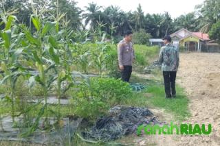Kapolsek Tapung Hilir Beri Semangat Warga Desa Cinta Damai untuk Program Ketahanan Pangan