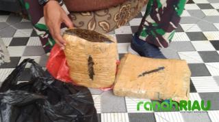 Koramil 09 Singingi Amankan 2 Kg Ganja Kering di Desa Sungai Keranji