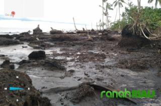 JMGR Bengkalis : Riau Hijau Mangkrak, DLHK Riau Wajib Gerak