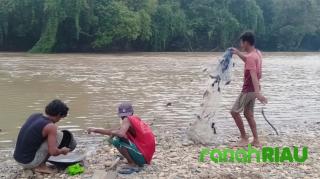 Bukti Nyata Masyarakat Kuansing, Menginginkan Pemimpin Yang Mampu Menciptakan Lapangan Kerja