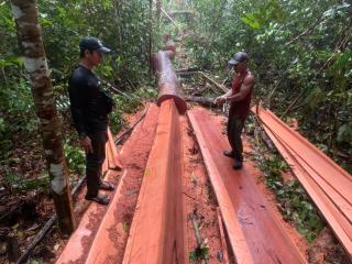 Ilegal Loging di Rupat, Polres Bengkalis Tetapkan 4 Orang Tersangka dan Barang Bukti