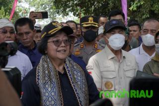 Cegah Abrasi, Gubri dan Menteri LHK Tanam Pohon di Tepian DAS Indragiri