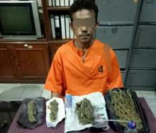 Lagi Santai Dirumah.. Penjual Ganja Ini Dicokok Polisi