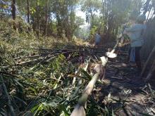 Tiang Lampu Sederhana, Manfaat Luar Biasa