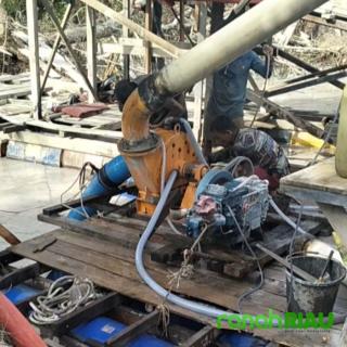 Menanti Taji Dubalang: Saat Kebun Pemda Porak-Poranda dan Alam Mulai Bicara