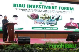 Yakinkan para Investor, Abdul Wahid : Masa Depan Bisnis ada di Riau 